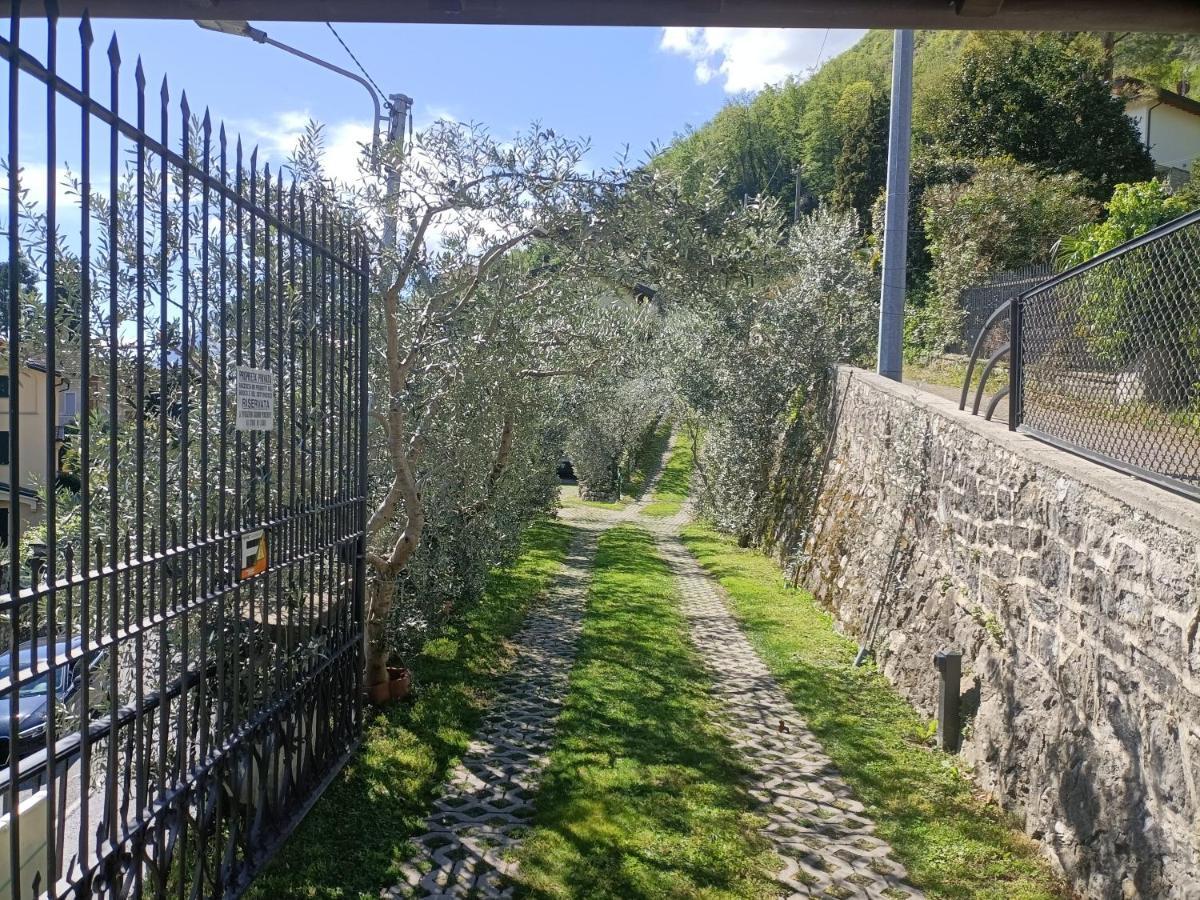 Apartmán Casa Delle Olive 1 Oliveto Lario Exteriér fotografie